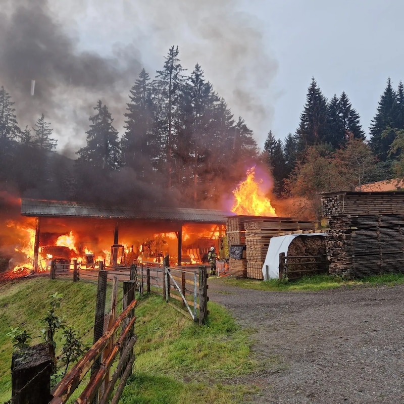 (Bild: Feuerwehr Neukirchen am Großvenediger)