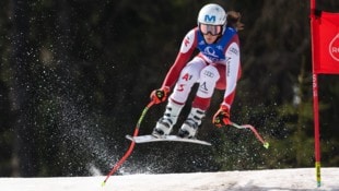 Rosina Schneeberger (Bild: GEPA/GEPA pictures)