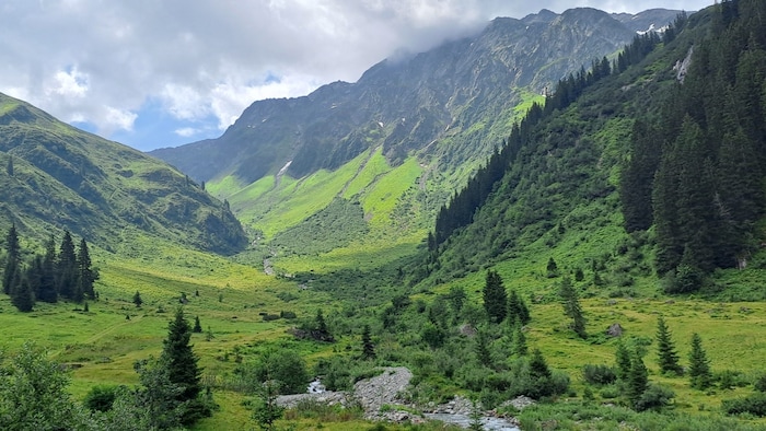 The path towards the Nenzigastalpe is lined with steep peaks to the right and left.