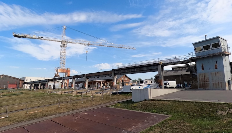 The area on the mainland of the shipyard is to be developed in the long term - also according to the wishes of the SPÖ - and offer affordable housing. Of course, listed buildings will remain untouched. (Bild: Molnar Attila)