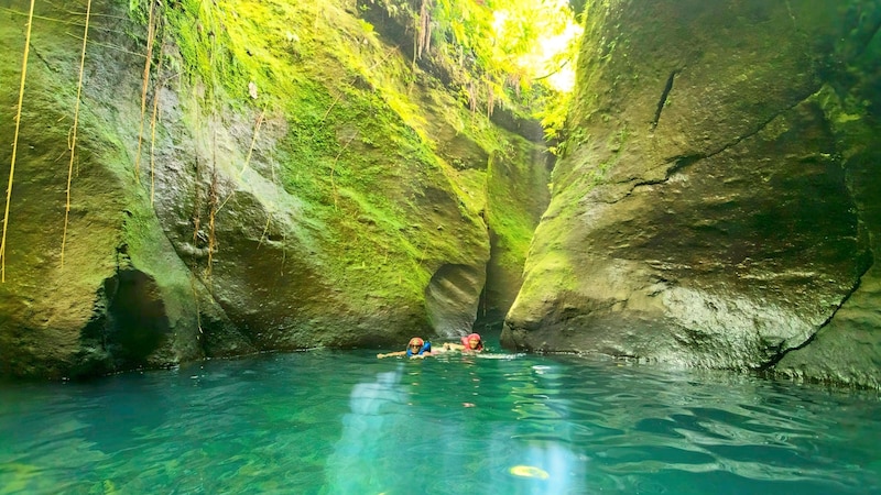 The mystical Titou Gorge is where Caribbean magic meets film history. (Bild: DiscoverDominica)