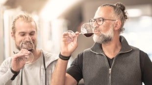 Österreicher sind bereit, bis zu einen Euro mehr für eine Flasche zertifizierten Bio-Wein zu bezahlen. (Bild: Strobl)