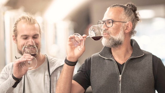 Österreicher sind bereit, bis zu einen Euro mehr für eine Flasche zertifizierten Bio-Wein zu bezahlen. (Bild: Strobl)