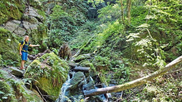 Die Klamm verspricht an heißen Tagen auch etwas Abkühlung (Bild: Weges)