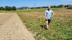 Landwirt Jandl baut mit seiner Frau auf sechs Hektar 14 Sorten Kartoffeln an. Er ärgert sich über nächtliche Diebe.  (Bild: zVg)