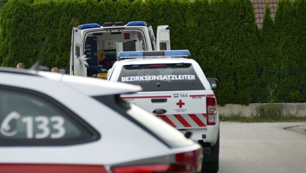 After a mother and her children were found dead in her home last Wednesday, the 29-year-old's partner is now also believed to be dead. (Bild: Doku NÖ)