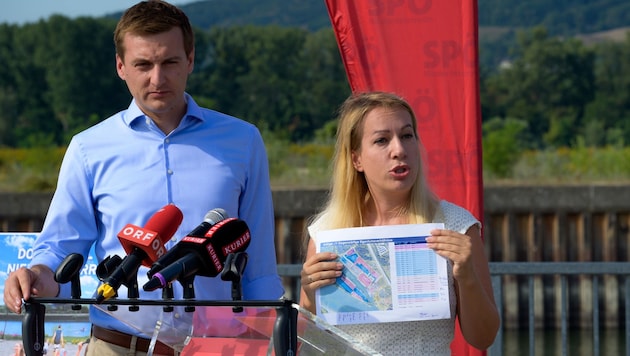 Die Werft-Halbinsel soll laut SPÖ-Plänen zur blau-gelben Donauinsel werden. (Bild: Molnar Attila)