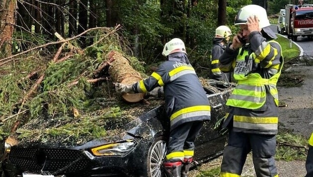 Two cars were hit by fallen trees in Zlain. (Bild: FF Feistritz an der Drau)