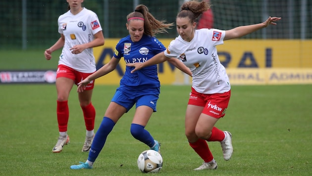 Bergheim's women around Vina Crnoja (center) want to stay in the league with coach Alex Schriebl. (Bild: Tröster Andreas)