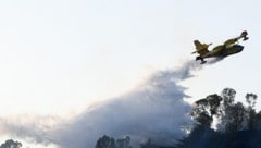 Schon Ende Juli brannte es am Monte Mario in Rom. Auch zu „Ferragosto“ sind wieder zahlreiche Löschflugzeuge in Italien im Einsatz. Vor allem in der Toskana wüten aktuell zahlreiche Brände. (Bild: APA/AFP/Isabella BONOTTO)