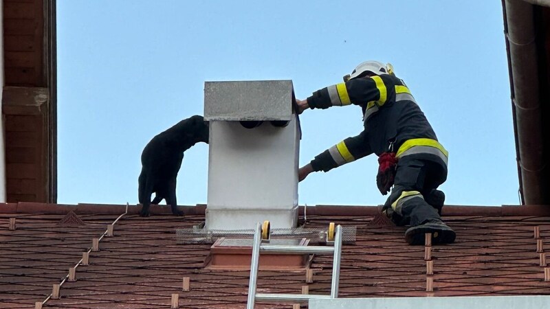 ... bis die Feuerwehr kam. (Bild: FF Straßburg)