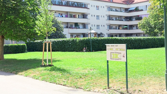 The communal building has a large green space where animals also feel at home.