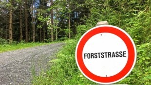 Der Unfall ereignete sich auf einer Forststraße (Symbolbild).