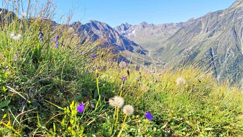 During the ascent, you have a view of the Gleirschtal valley to the rear. (Bild: Peter Freiberger)