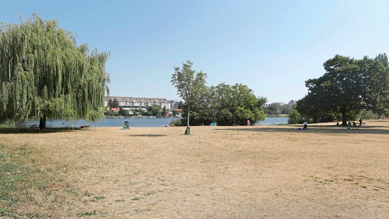 Bei der Alten Donau ist es staubtrocken. (Bild: Bartel Gerhard)