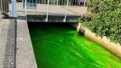 The Mühlbach stream in Pörtschach flowed in green paint. (Bild: Polizei Kärnten)