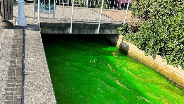 The Mühlbach stream in Pörtschach flowed in green paint. (Bild: Polizei Kärnten)