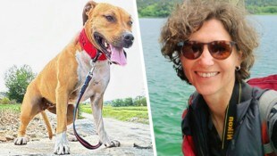 „Xena“ biss Susi S. im August den Daumen ab. Nun ist der Hund bei einem Hundeprofi.