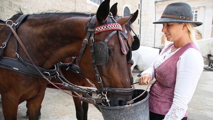 Wasser gibt es genug: Kutscherin Martina mit Speedy und Dori