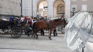 Ein Ventilator am Residenzplatz könnte die Fiakerpferde kühlen. (Bild: ANDREAS TROESTER/Stock adobe)