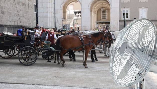 Ein Ventilator am Residenzplatz könnte die Fiakerpferde kühlen. (Bild: ANDREAS TROESTER/Stock adobe)