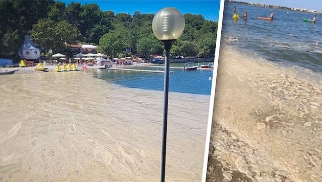 Pictures of the algae slime have been shared on social media (two screenshots above) for months - it seems to be getting thicker and thicker and appearing more frequently. (Bild: Krone KREATIV/x.com/AHuxley1963; facebook.com/Rovinj Insider/Nicol Simecek)