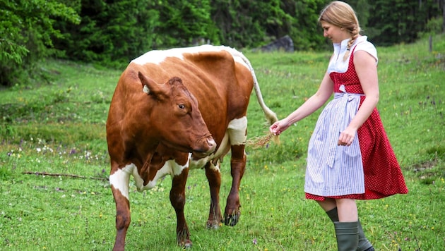 Katharina Hirnböck comes from a farm in Henndorf and is embarking on an alpine adventure this summer. (Bild: Tröster Andreas/ANDREAS TROESTER)