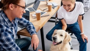 Tiere im Büro verbessern laut Studien das Betriebsklima. (Bild: stock.adobe.com)