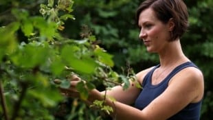 Alexandra Klein liebt es im Garten nach Kräutern zu suchen, mit denen sie Kombucha anreichern kann. Ihre Tipps gibt sie in ihrem neuen Buch weiter. (Bild: Tröster Andreas)