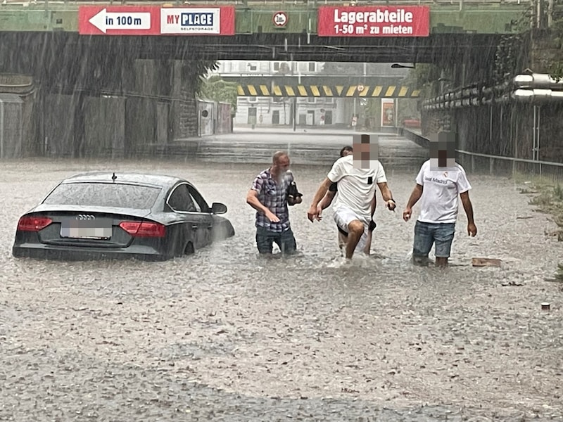 Together they made their way back to land. (Bild: Brandl Gregor/Krone KREATIV)