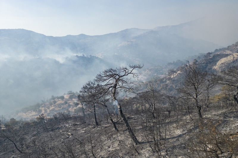 Etliche Landstriche sind komplett abgebrannt. (Bild: AFP/Sophie CHAUVEAU)