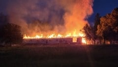 Das Wirtschaftsgebäude brannte vollständig nieder.  (Bild: Feuerwehr Nestelbach)