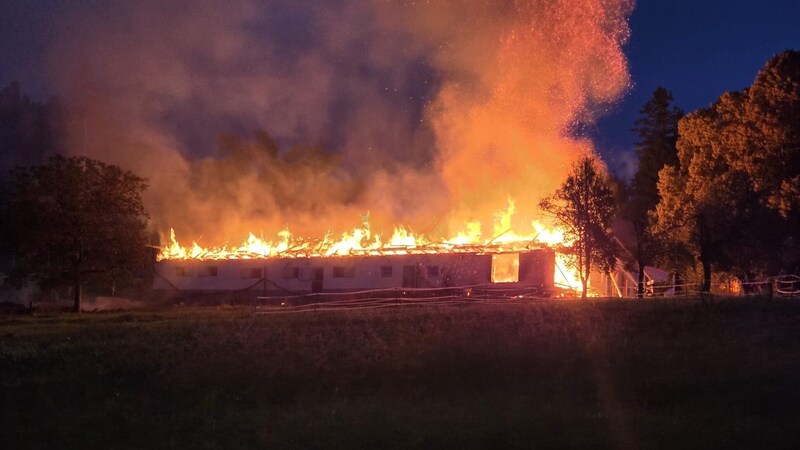 Das Wirtschaftsgebäude brannte vollständig nieder. (Bild: Feuerwehr Nestelbach)