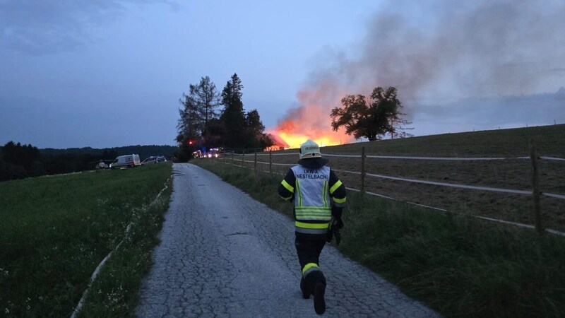 Der Pferdehof und das Wohnhaus brannten lichterloh. (Bild: Feuerwehr Nestelbach)