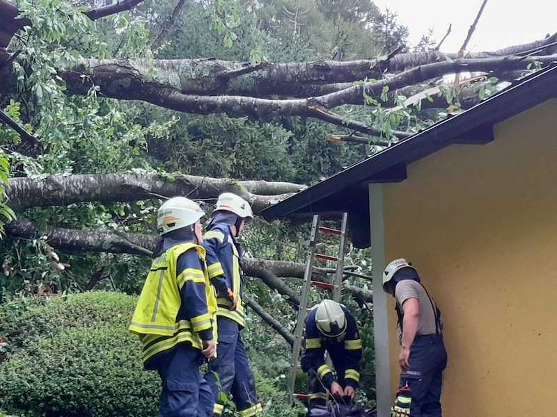 In Bad Gams, a tree fell onto a residential building. (Bild: Bereichsfeuerwehrverband Deutschlandsberg)