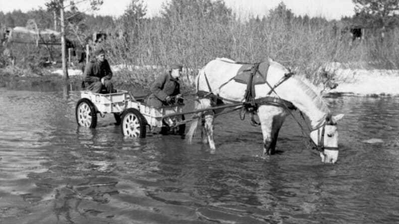 Meist wurden die Infanterie- karren von Pferden oder Maultieren, aber auch von Hunden gezogen. Sie transportierten Waffen und Munition für die Bodentruppen. (Bild: Bundesarchiv)