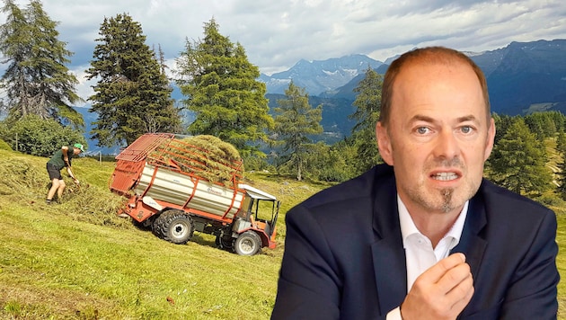 Mit der Bewirtschaftung der Bergmähder leisten die Bäuerinnen und Bauern in Tirol einen wichtigen Beitrag zum Artenschutz. „Der bürokratische Aufwand dafür wird leider immer mehr“, ärgert sich Hechenberger. (Bild: Klemens Groh/LK Tirol/Krone KREATIV)