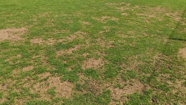 Hartbergs Trainingsplatz, wo die Bundesliga-Elf trainieren soll. (Bild: Kallinger)