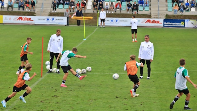 Ralf Rangnick hatte in Bad Wimsbach auch seine Assistenten dabei. (Bild: Hörmandinger Marion/Marion Hörmandinger)