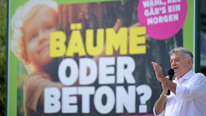 Green Party leader Werner Kogler is convinced that his party has "the best offer".