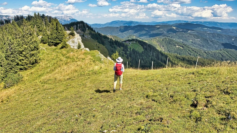 Herrlicher Kraftplatz zum Durchatmen (Bild: Weges)