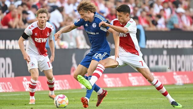 Dejan Ljubicic (rechts) will Köln und ÖFB-Kollegen Florian Kainz (links) verlassen. (Bild: GEPA/GEPA pictures)