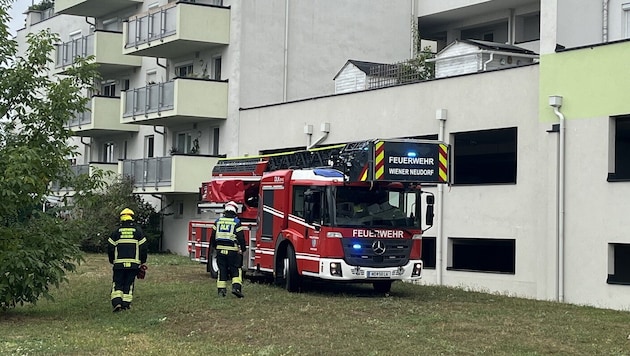 The fire department had to be called in to help with the sensational police operation. (Bild: Lukas Derkits / Feuerwehr Wiener Neudorf)