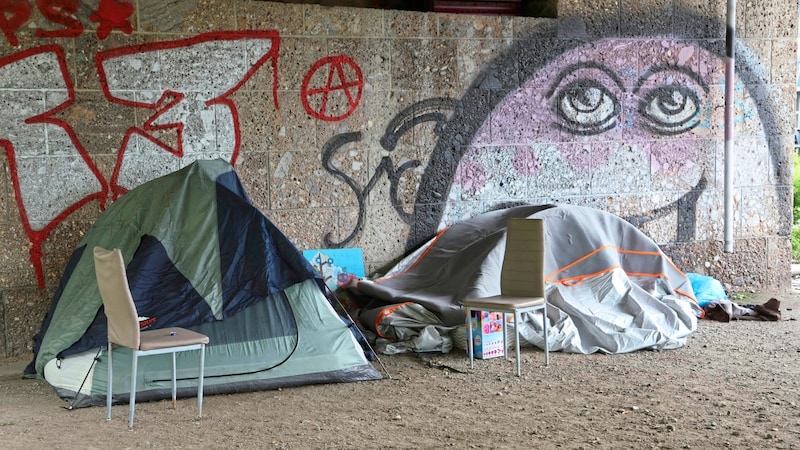 Die Zelte unterhalb der Hochbrücke der Haller Straße (Bild: Johanna Birbaumer)