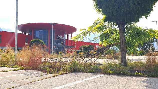 The former site in East Tyrol looks overgrown. Supernova explains that the area is being maintained. (Bild: Martin Oberbichler)