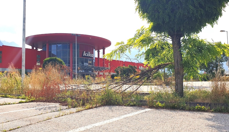 Der ehemalige Standort in Osttirol wirkt verwildert. Die Supernova erklärt, dass man das Areal warte. (Bild: Martin Oberbichler)