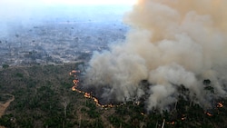 Weil der Regenwald im Amazonasgebiet immense Mengen des Klimagases CO2 binden kann, hat er auch für das Weltklima große Bedeutung. (Bild: APA/AFP/EVARISTO SA)