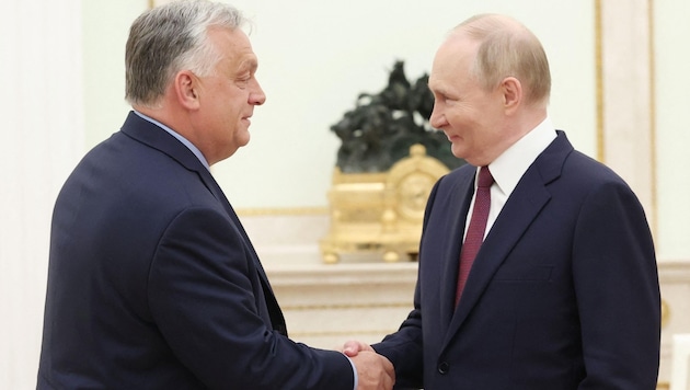 Good friends: Russia's President Vladimir Putin (right) and Hungary's Prime Minister Viktor Orban (Bild: AFP/VALERY SHARIFULIN)