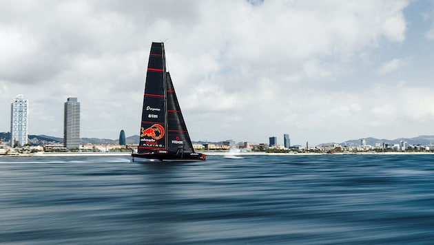 Beim America‘s Cup rasen die Boote mit 100 km/ über das Wasser. (Bild: Samo Vidic / Alinghi Red Bull Racing)