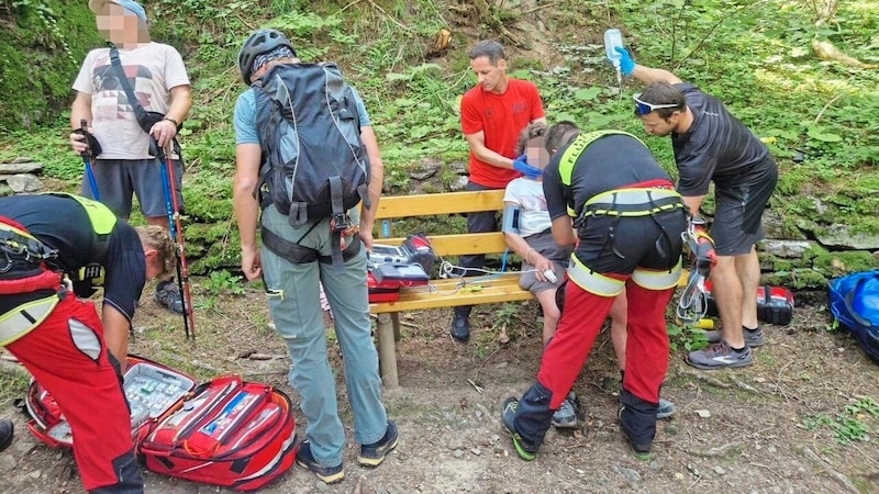 Der Einsatz im Zillertal: Bei stärkeren allergischen Reaktionen sind Profi-Helfer gefragt. (Bild: ZOOM Tirol)